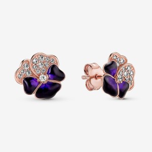 Pandora Deep Purple Pansy Flower Stud Earrings Rose Gold Plated | 29873-BUJX