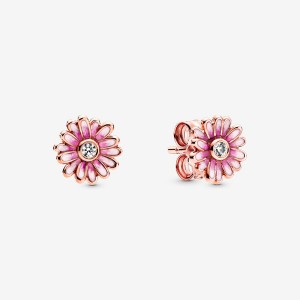 Pandora Pink Daisy Flower Stud Earrings Rose Gold Plated | 91206-XKAQ