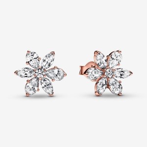 Pandora Sparkling Herbarium Cluster Stud Earrings Rose Gold Plated | 24059-ONYF