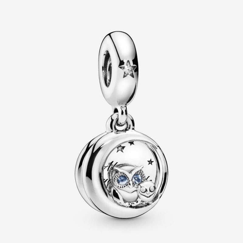 Pandora Always by Your Side Owl Dangle Charm Sterling Silver | 65493-QWKJ