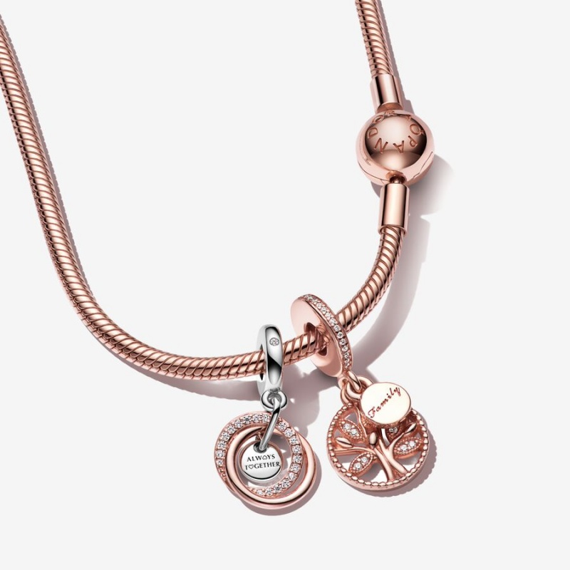 Pandora Family Circle Rose Charm Necklace Set | 49862-RIXW