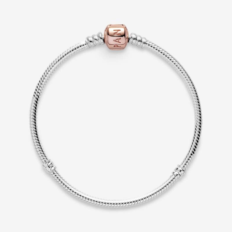 Pandora Moments Snake Chain Bracelet Two-tone | 03894-YNIU